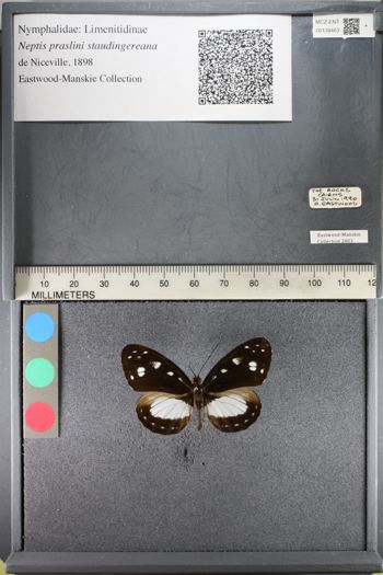 Media type: image;   Entomology 138463